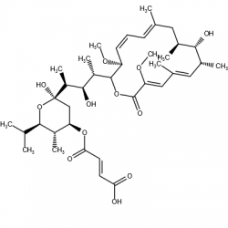 Bafilomycin C1 [88979-61-7]